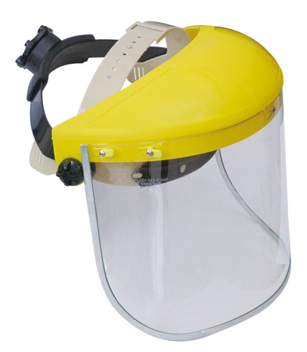 Face Shield