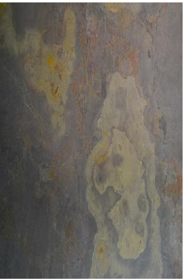 2mm NATURAL STONE VENEER VIENA H