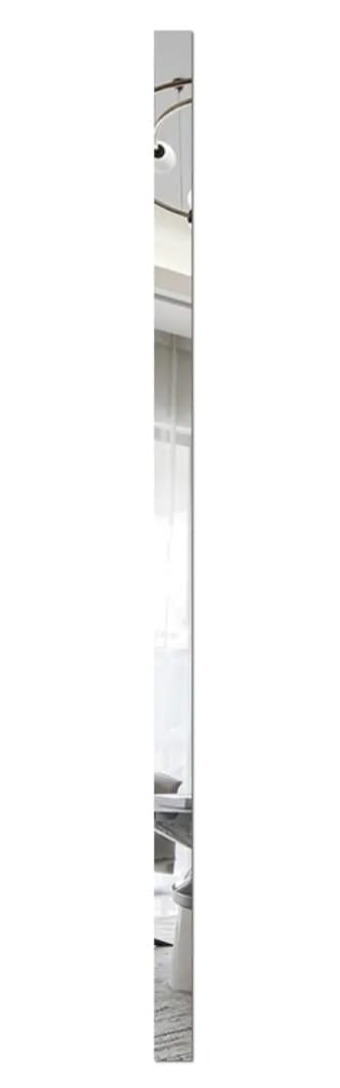 PVC SILVER MIRROR STRIPS