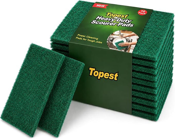 Sponges and Scourers
