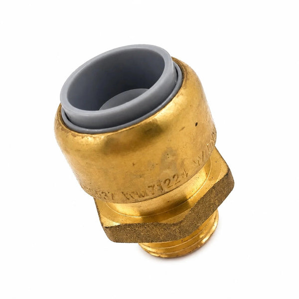 PPR Socket with Brass Nut
