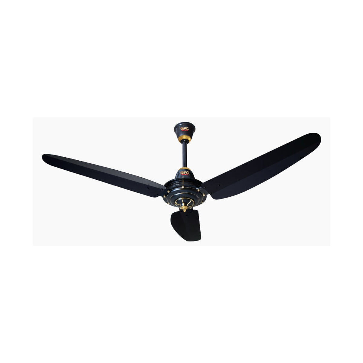 Ceiling Fan with Lights