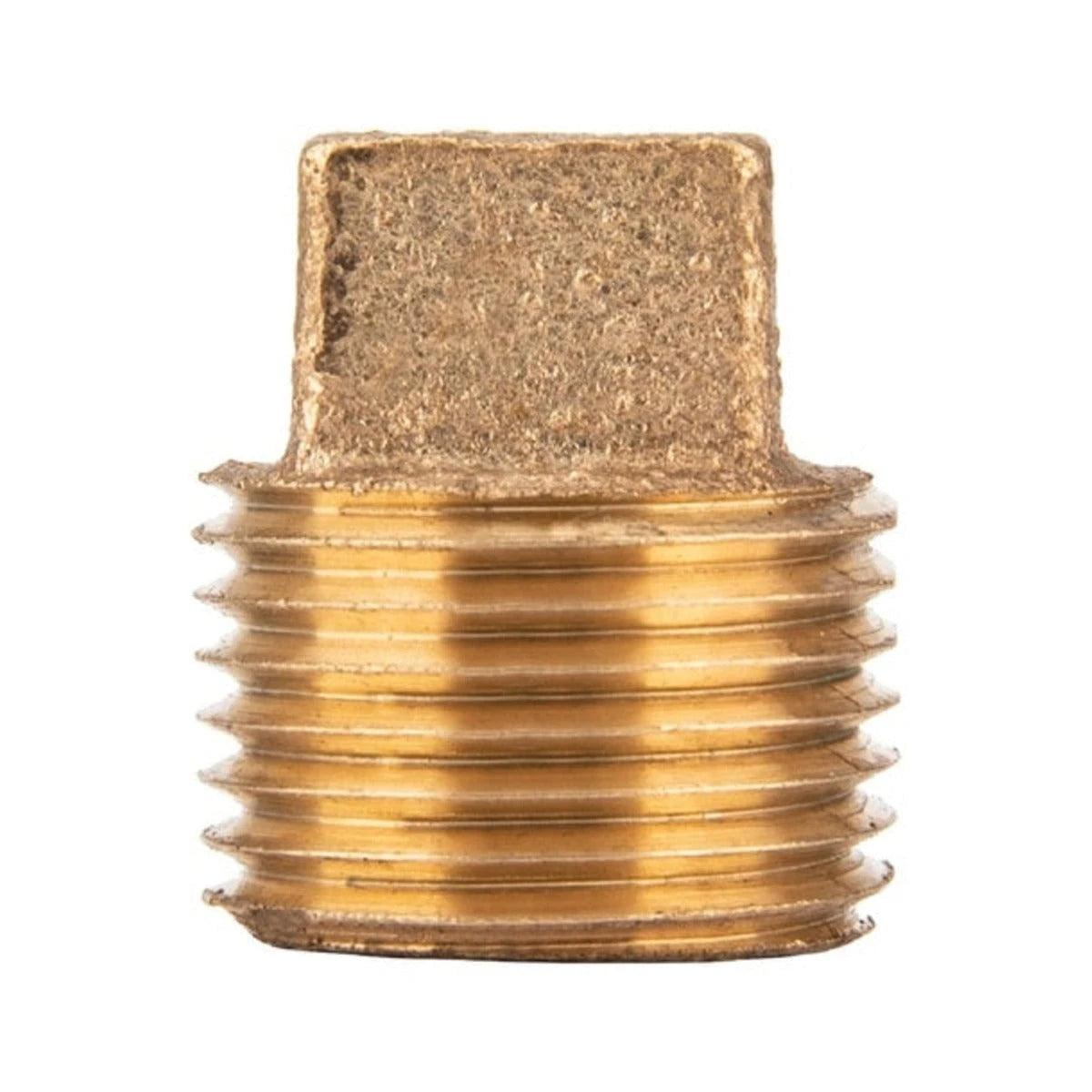 Threaded Pressure Test Plug