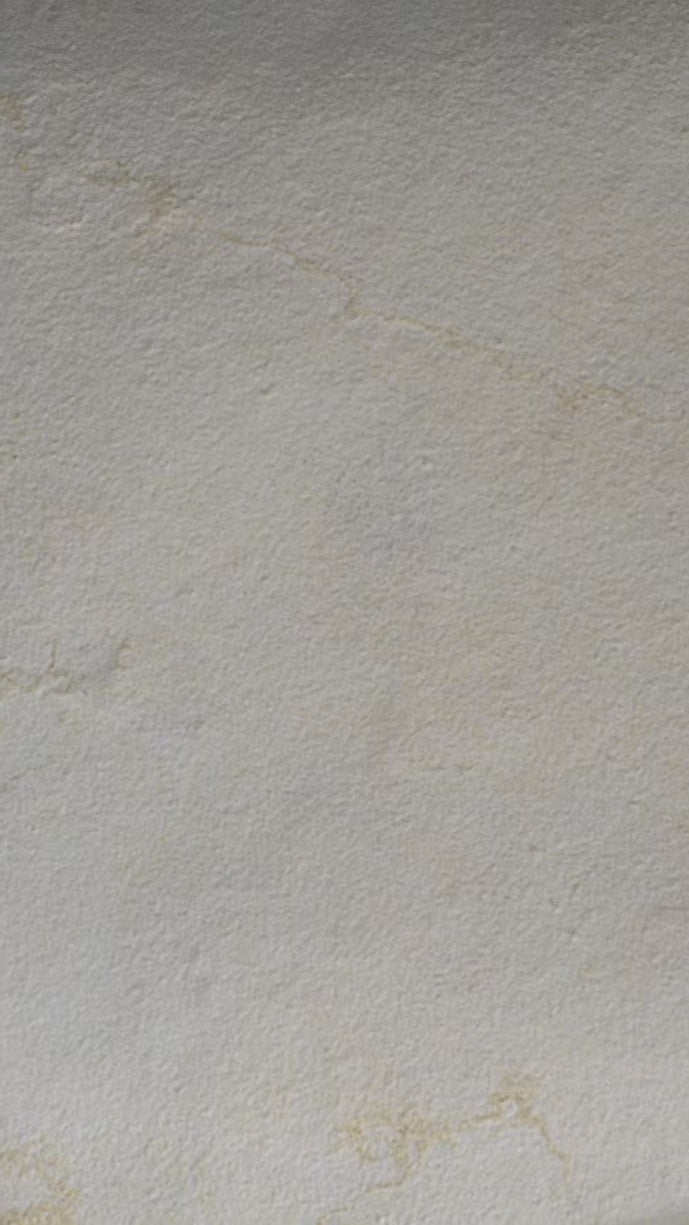 Natural Stone Veneer Atlantic Marble