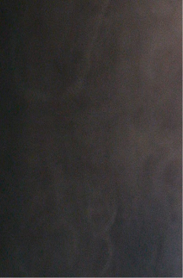 Natural Slate Veneer