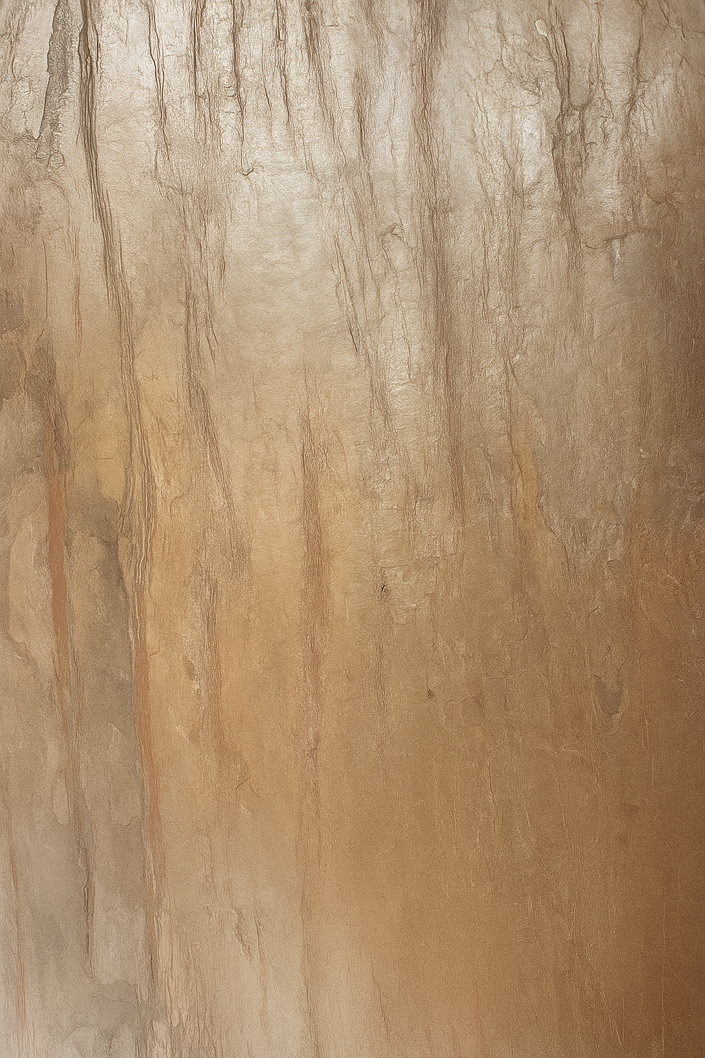 Natural Stone Veneer