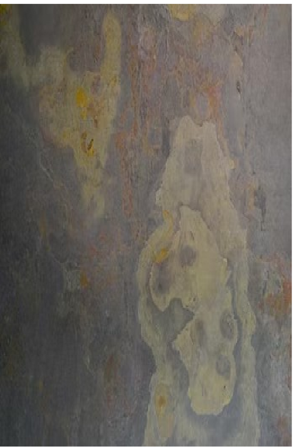 2mm NATURAL STONE VENEER VIENA H