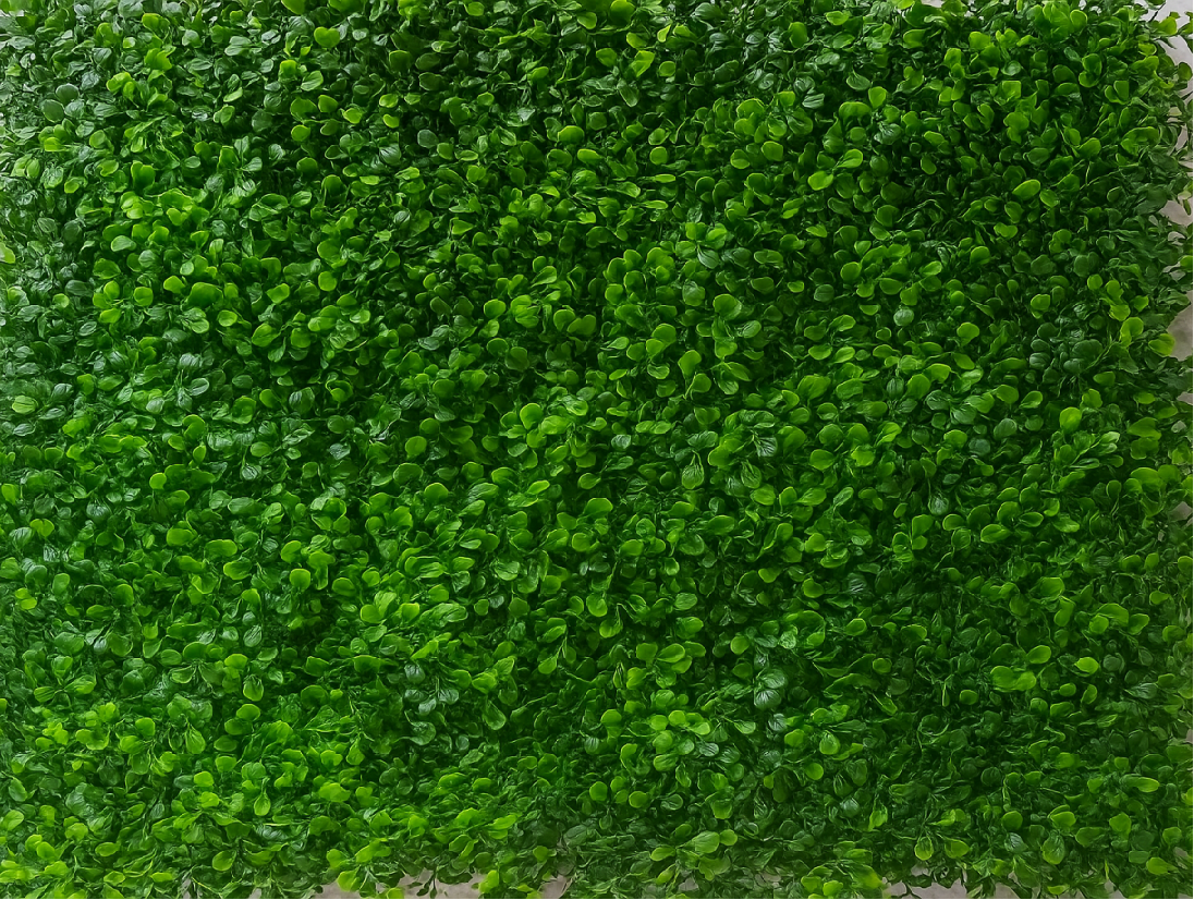 Artificial Vertical Garden