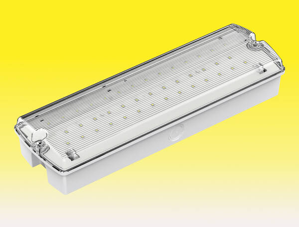 LED Emergency Bulkhead