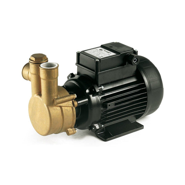 Surface Water Pump