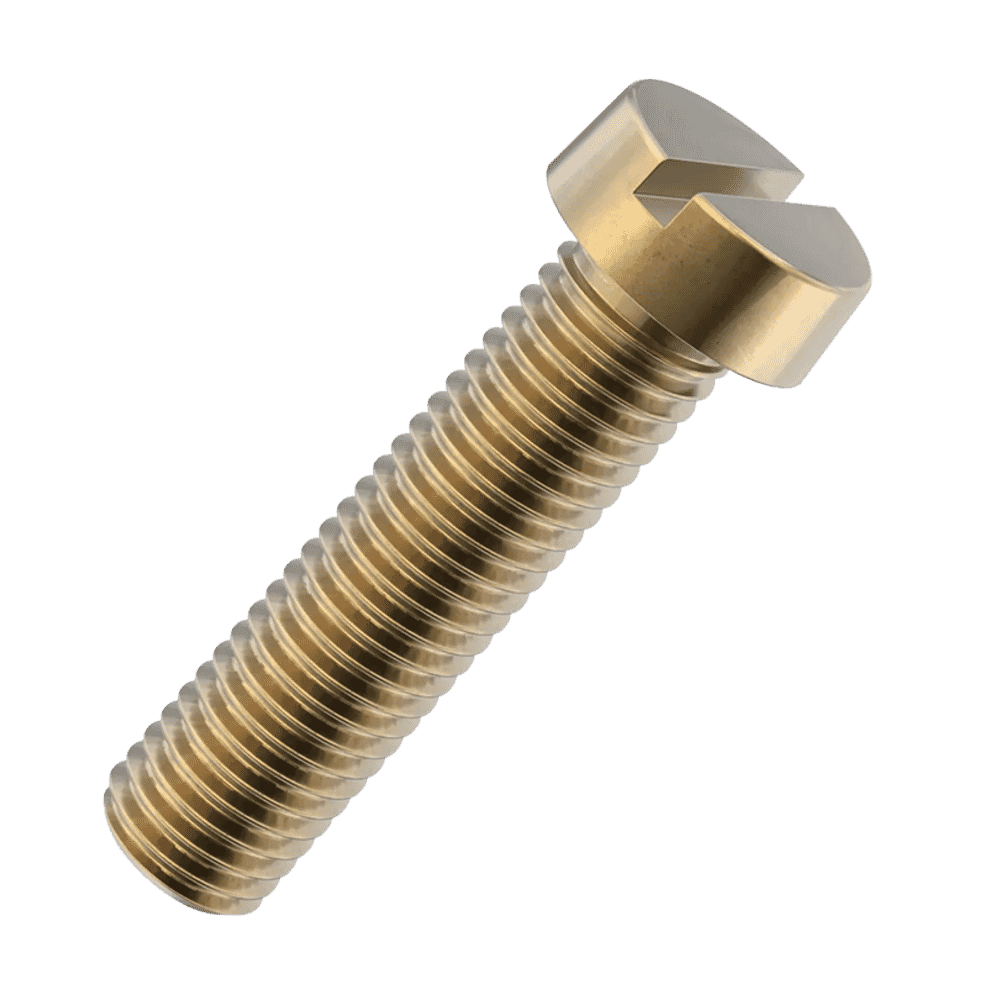 Brass Conduit Box Screws