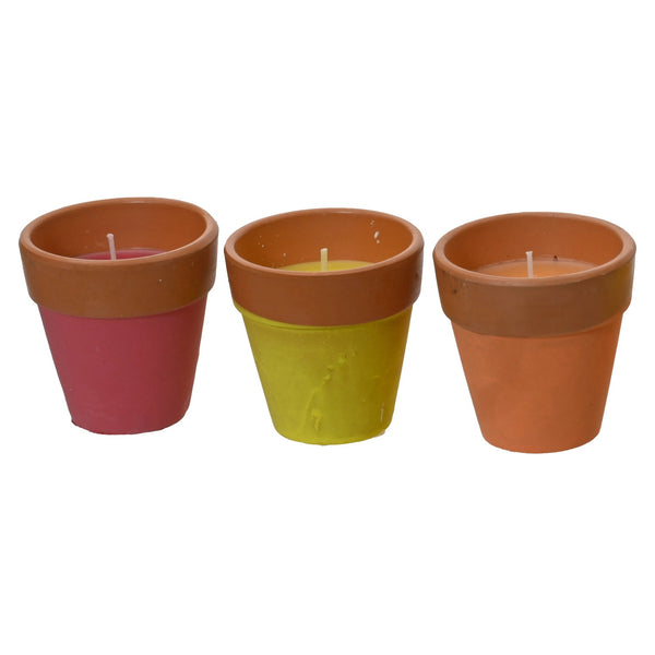 cand|citronella|10