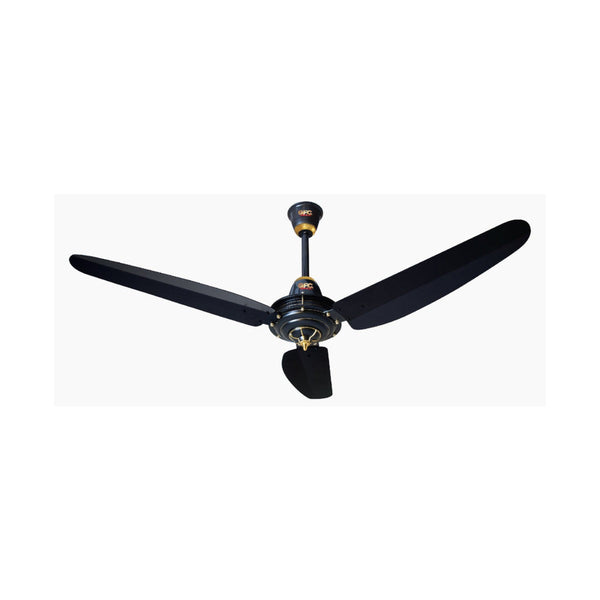 Ceiling Fan with Lights