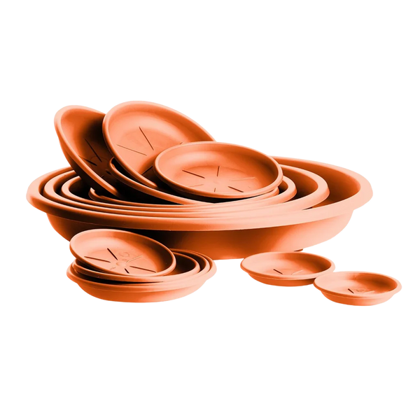 cand|plant-saucer|0