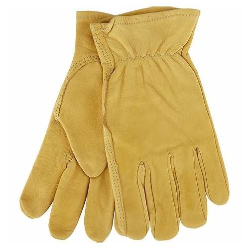 Leather Work Gloves