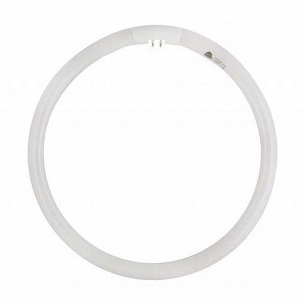 T5 & T8 Circular Fluorescent Tubes
