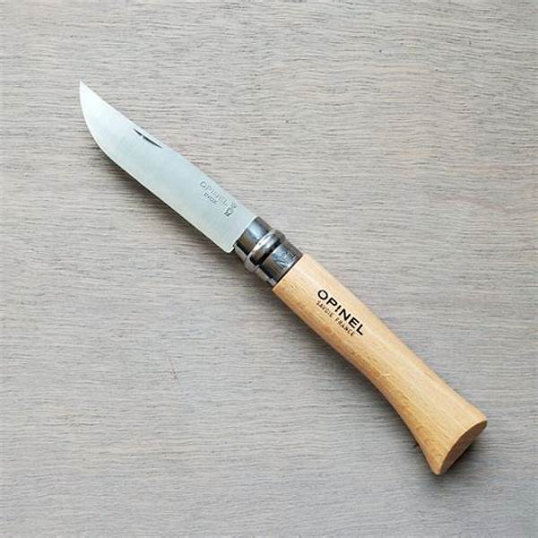 Opinel Stainless Steel Folding Knife